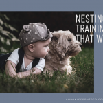 Nesting and Dog Trainging Landscape